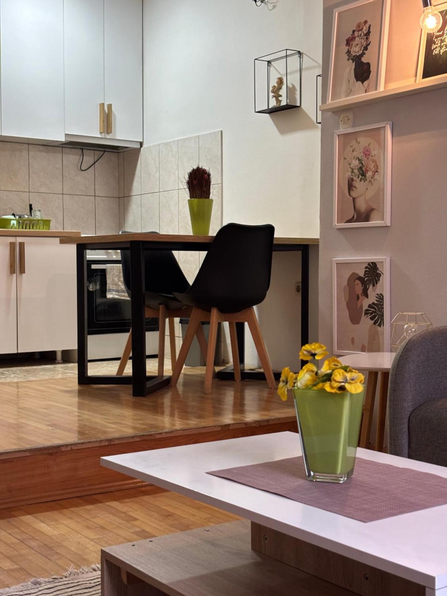 Mia'S Duplex Apartment Skopje Ngoại thất bức ảnh
