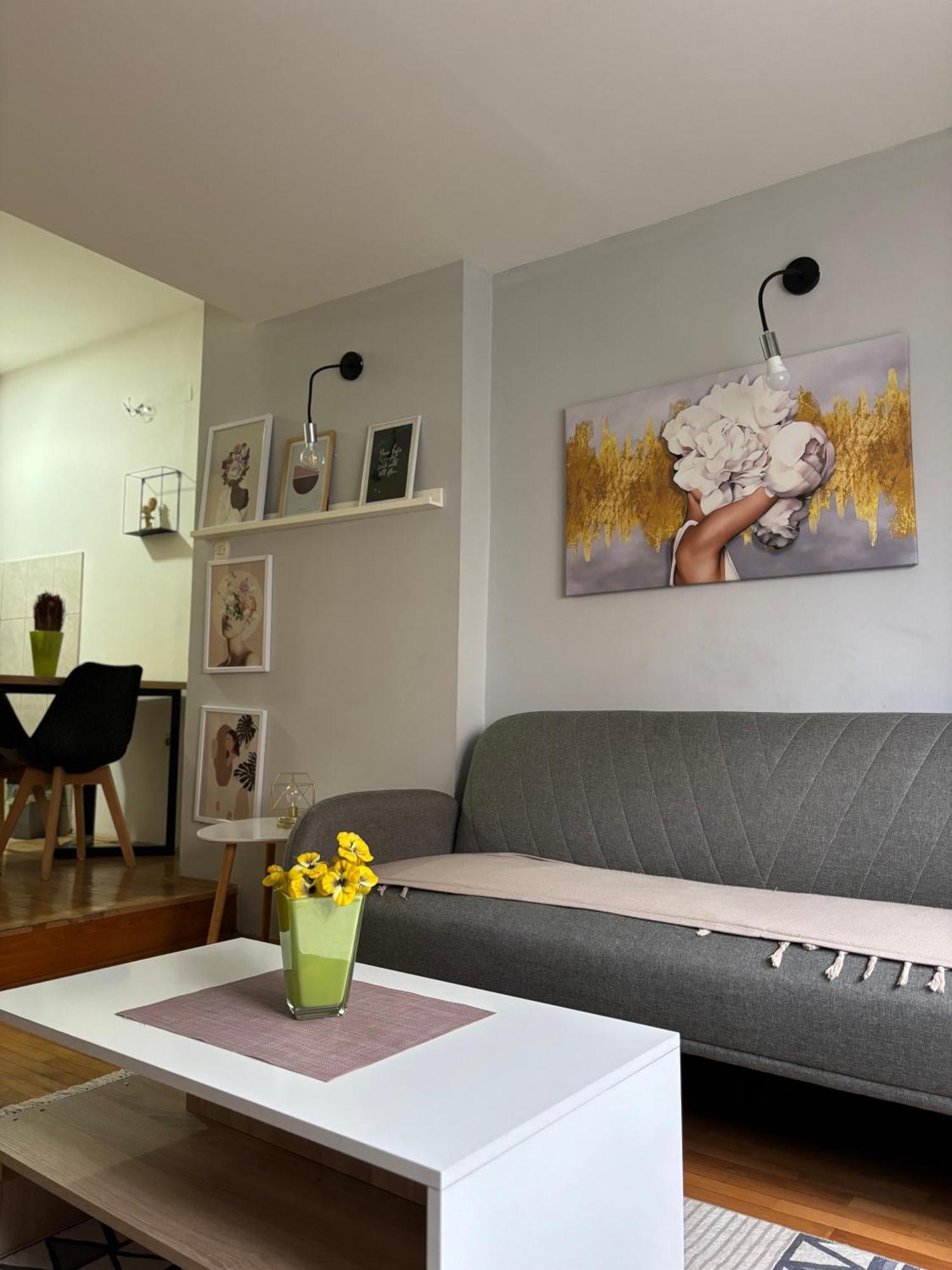 Mia'S Duplex Apartment Skopje Ngoại thất bức ảnh